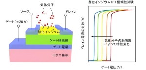 Example of deterioration of TFT stability due to adsorption of gas molecules Source from Hokkaido University and others